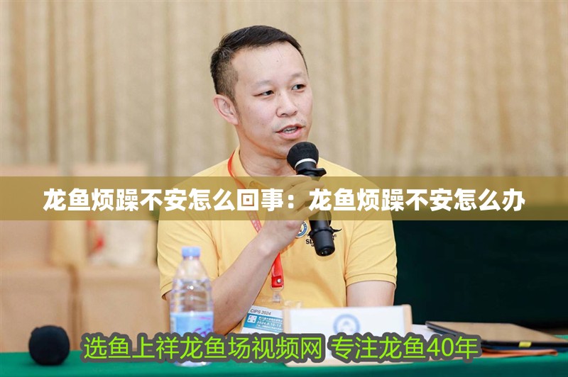 龍魚煩躁不安怎么回事：龍魚煩躁不安怎么辦
