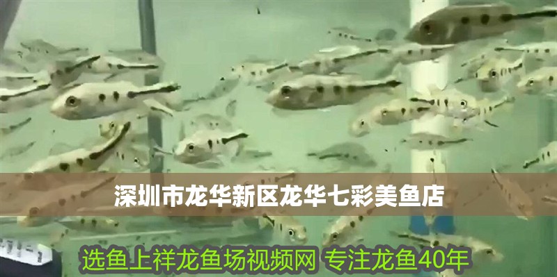 深圳市龍華新區(qū)龍華七彩美魚店