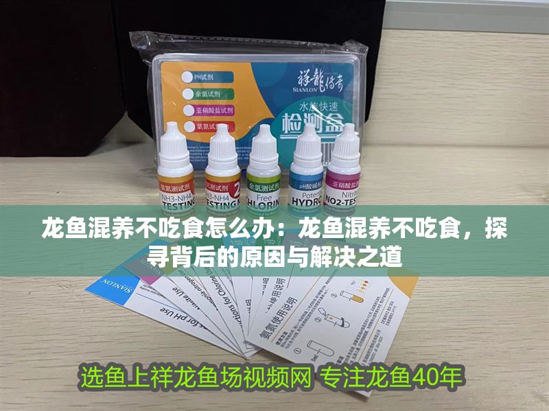 龍魚混養不吃食怎么辦：龍魚混養不吃食，探尋背后的原因與解決之道