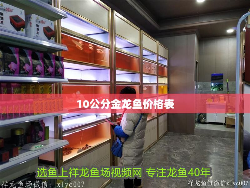 10公分金龍魚價格表
