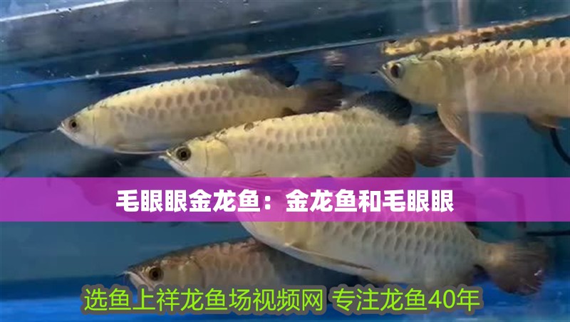 魟魚飼料微生物檢測流程：魟魚飼料的微生物檢測