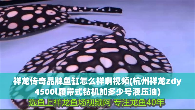 祥龍傳奇品牌魚缸怎么樣啊視頻(杭州祥龍zdy4500l履帶式鉆機加多少號液壓油)