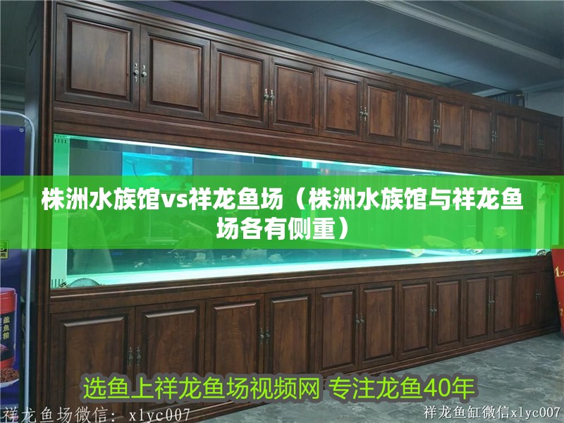 株洲水族館vs祥龍魚場（株洲水族館與祥龍魚場各有側重）