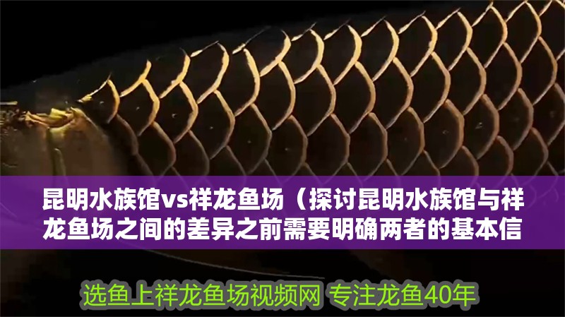 昆明水族館vs祥龍魚場（探討昆明水族館與祥龍魚場之間的差異之前需要明確兩者的基本信息）