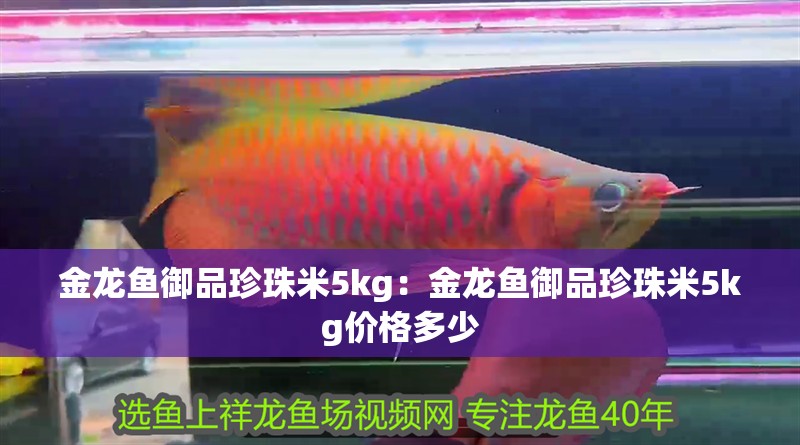 金龍魚御品珍珠米5kg:金龍魚御品珍珠米5kg價格多少 水族問答 金龍魚御品珍珠米5kg:金龍魚御品珍珠米5kg價格多少 金龍魚御品珍珠米5kg:金龍魚御品珍珠米5kg價格多少 水族問答