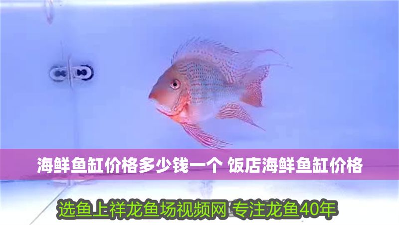 海鮮魚缸價格多少錢一個 飯店海鮮魚缸價格