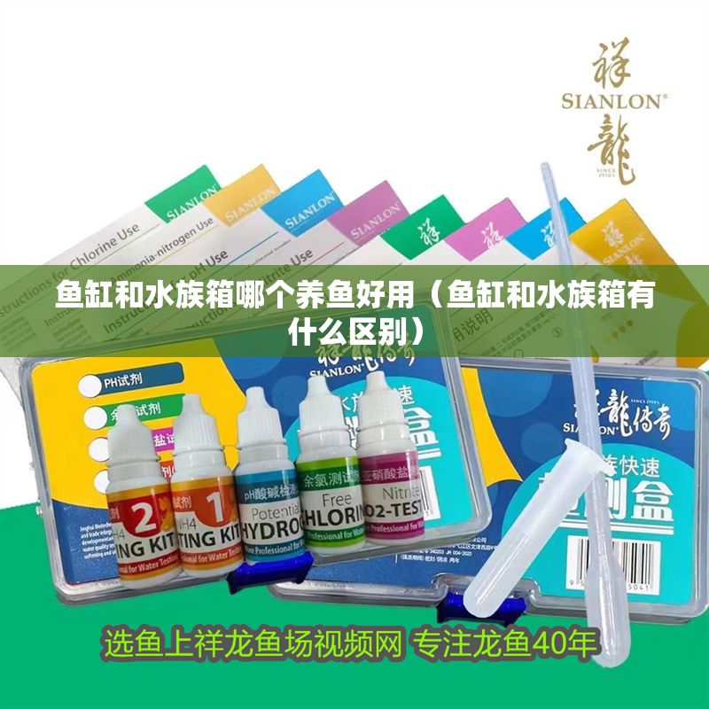 魚缸和水族箱哪個養魚好用（魚缸和水族箱有什么區別）