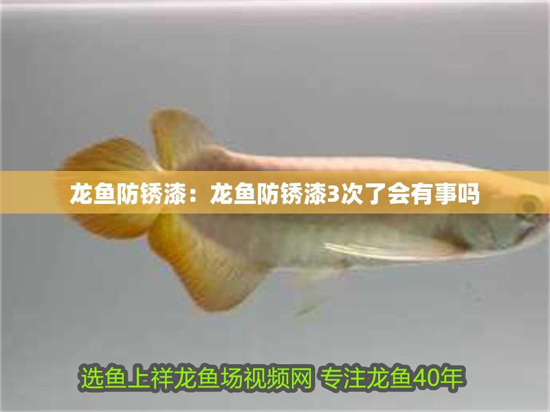 龍魚防銹漆：龍魚防銹漆3次了會有事嗎