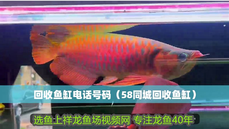 回收魚缸電話號碼（58同城回收魚缸）