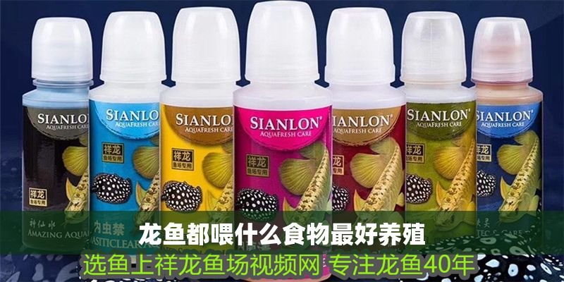 龍魚都喂什么食物最好養殖