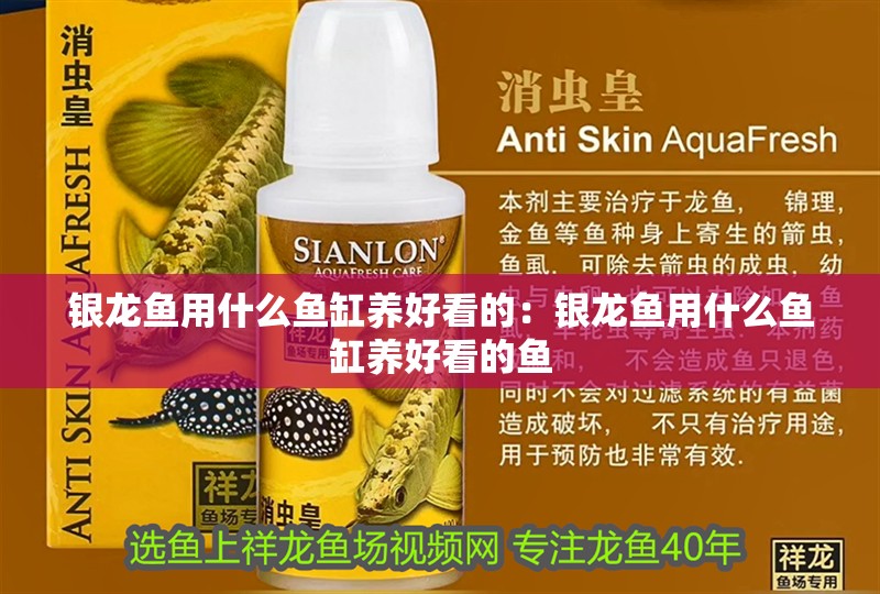 銀龍魚用什么魚缸養好看的：銀龍魚用什么魚缸養好看的魚