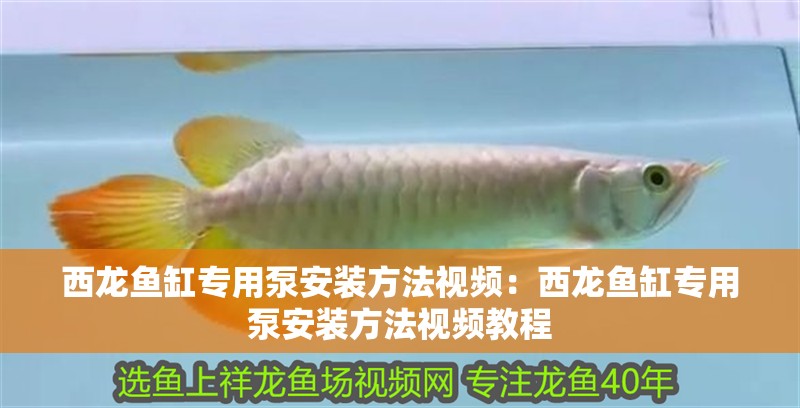 西龍魚缸專用泵安裝方法視頻：西龍魚缸專用泵安裝方法視頻教程