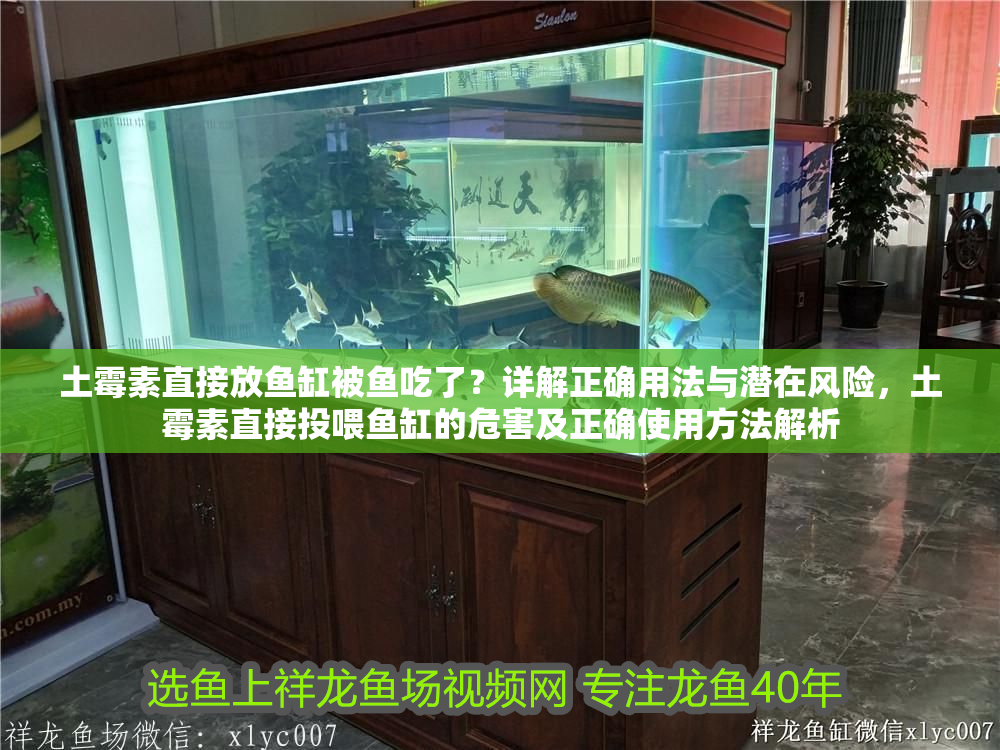 土霉素直接放魚缸被魚吃了？詳解正確用法與潛在風險，土霉素直接投喂魚缸的危害及正確使用方法解析