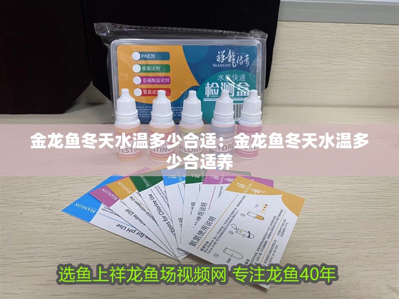 金龍魚冬天水溫多少合適：金龍魚冬天水溫多少合適養(yǎng)