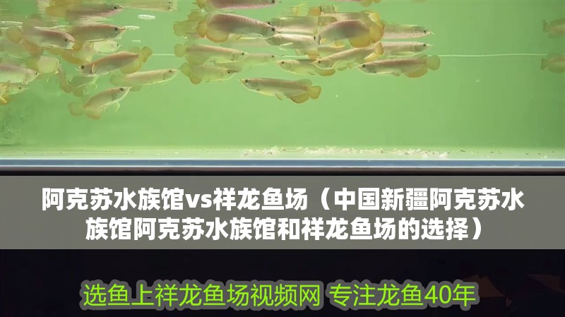 阿克蘇水族館vs祥龍魚場（中國新疆阿克蘇水族館阿克蘇水族館和祥龍魚場的選擇）