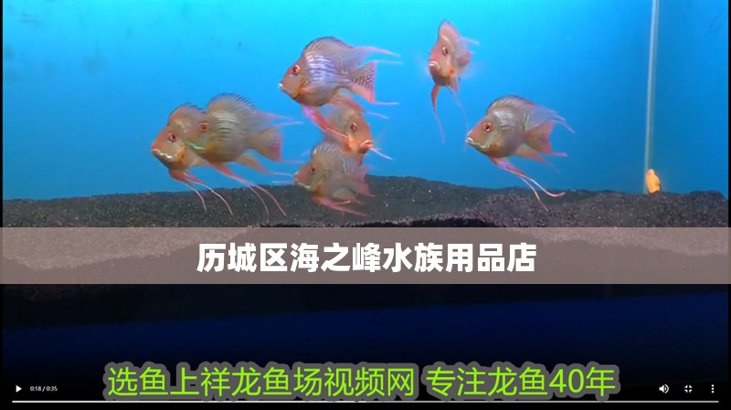歷城區海之峰水族用品店