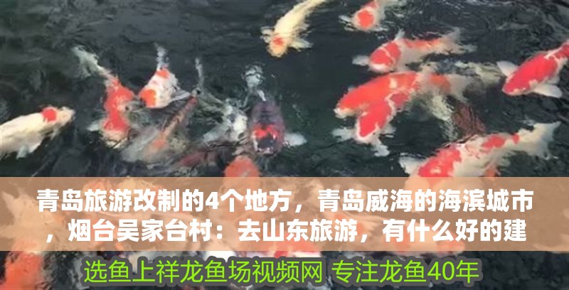 青島旅游改制的4個(gè)地方，青島威海的海濱城市，煙臺(tái)吳家臺(tái)村：去山東旅游，有什么好的建議？