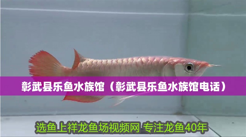 彰武縣樂魚水族館（彰武縣樂魚水族館電話）