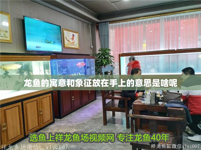 龍魚(yú)的寓意和象征放在手上的意思是啥呢