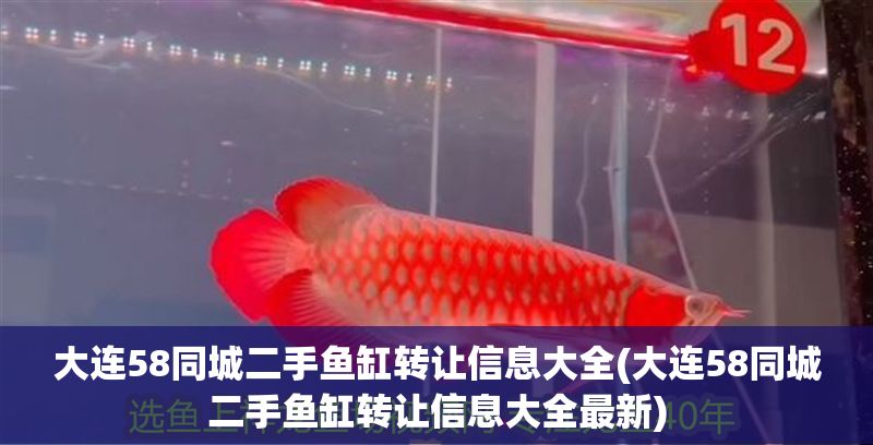 大連58同城二手魚缸轉讓信息大全(大連58同城二手魚缸轉讓信息大全最新)