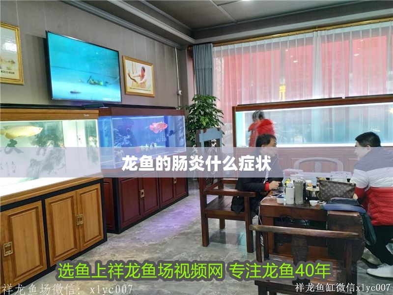 龍魚的腸炎什么癥狀