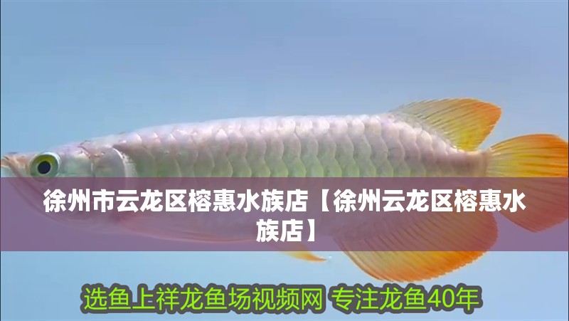 徐州市云龍區(qū)榕惠水族店【徐州云龍區(qū)榕惠水族店】