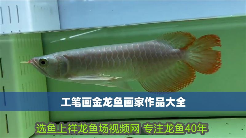 工筆畫金龍魚畫家作品大全