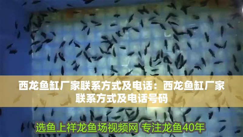 西龍魚缸廠家聯(lián)系方式及電話：西龍魚缸廠家聯(lián)系方式及電話號碼