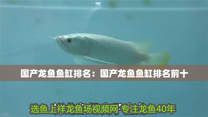 國(guó)產(chǎn)龍魚魚缸排名：國(guó)產(chǎn)龍魚魚缸排名前十