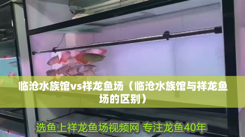 臨滄水族館vs祥龍魚場（臨滄水族館與祥龍魚場的區別）