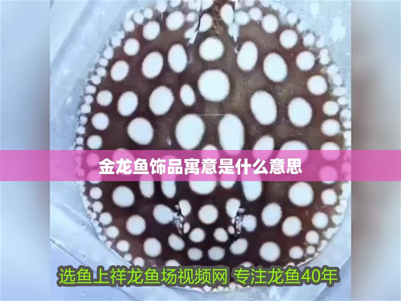 金龍魚飾品寓意是什么意思