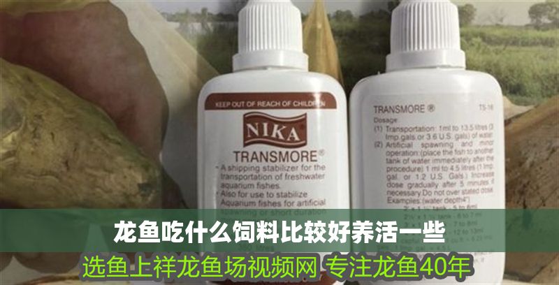 龍魚吃什么飼料比較好養活一些