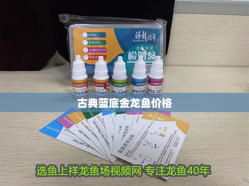 古典藍底金龍魚價格