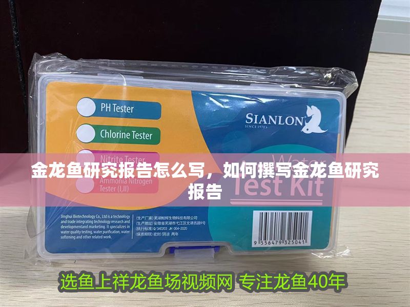 金龍魚研究報告怎么寫，如何撰寫金龍魚研究報告