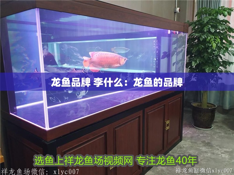龍魚品牌 李什么：龍魚的品牌
