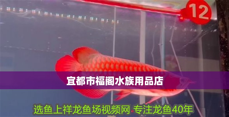 宜都市福閣水族用品店