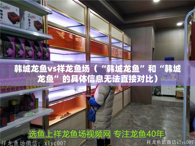 韓城龍魚vs祥龍魚場（“韓城龍魚”和“韓城龍魚”的具體信息無法直接對比）