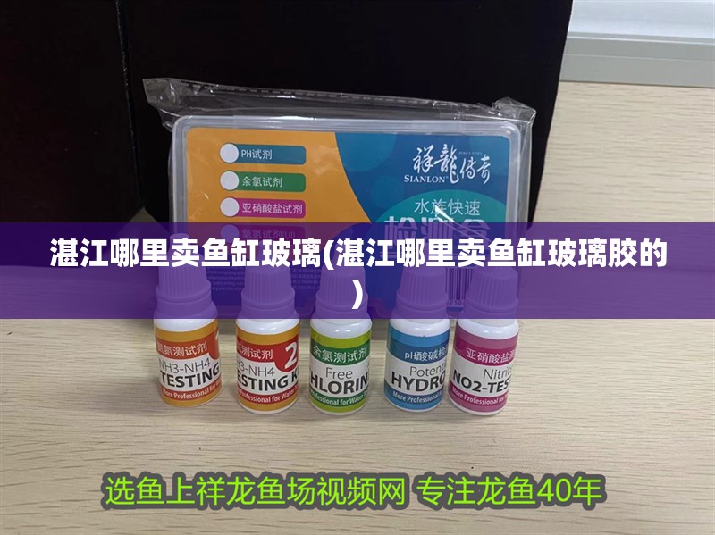 湛江哪里賣魚缸玻璃(湛江哪里賣魚缸玻璃膠的)