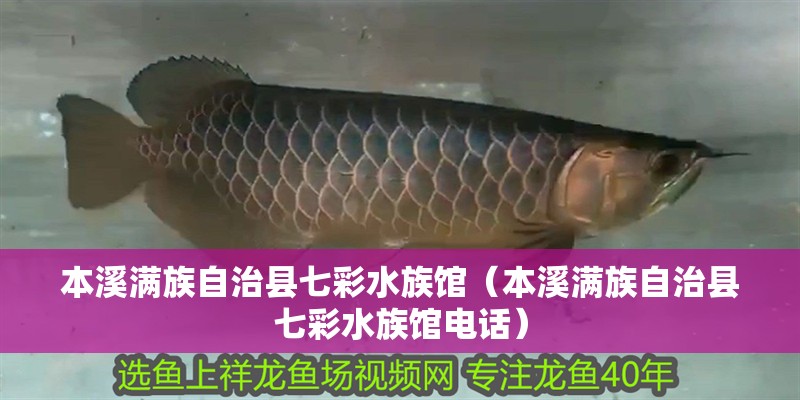 本溪滿族自治縣七彩水族館(本溪滿族自治縣七彩水族館電話) 全國水族館企業名錄 第2張 本溪滿族自治縣七彩水族館(本溪滿族自治縣七彩水族館電話) 本溪滿族自治縣七彩水族館(本溪滿族自治縣七彩水族館電話) 全國水族館企業名錄 第2張