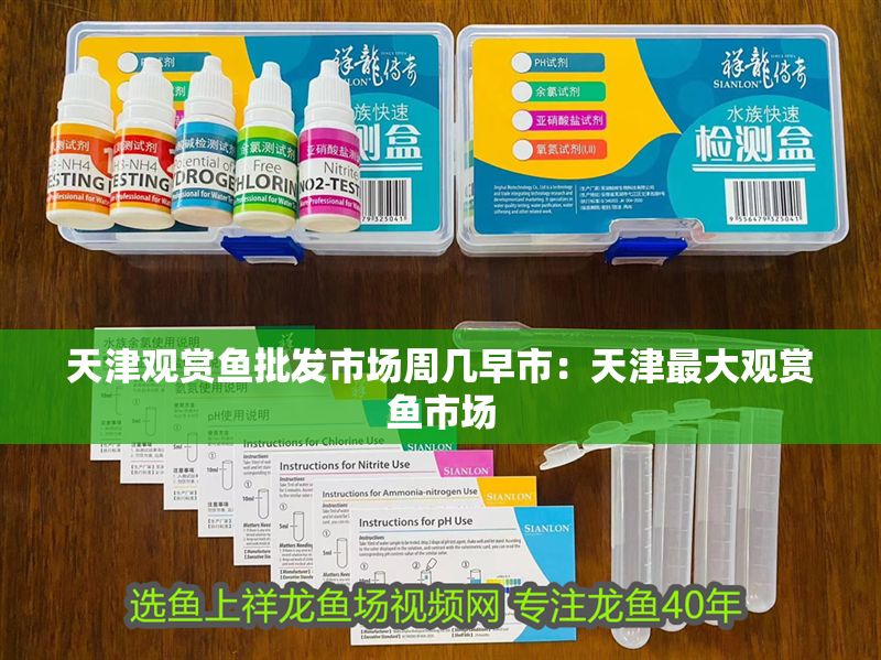 天津觀賞魚批發市場周幾早市：天津最大觀賞魚市場