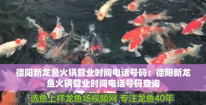 德陽新龍魚火鍋營業(yè)時間電話號碼：德陽新龍魚火鍋營業(yè)時間電話號碼查詢