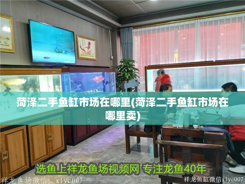 菏澤二手魚(yú)缸市場(chǎng)在哪里(菏澤二手魚(yú)缸市場(chǎng)在哪里賣(mài))