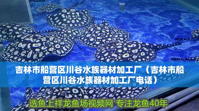 吉林市船營區(qū)川谷水族器材加工廠（吉林市船營區(qū)川谷水族器材加工廠電話）