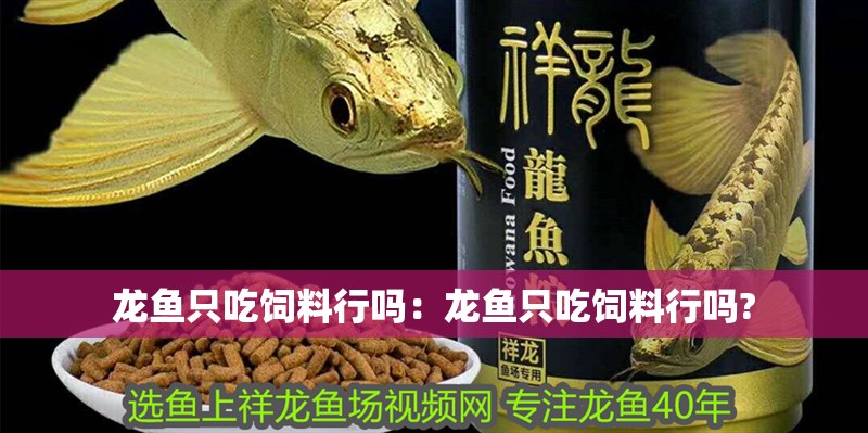 龍魚只吃飼料行嗎：龍魚只吃飼料行嗎?