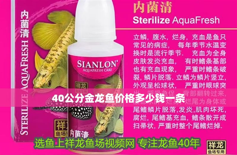 40公分金龍魚(yú)價(jià)格多少錢(qián)一條