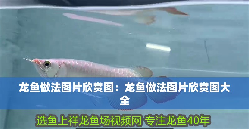龍魚做法圖片欣賞圖：龍魚做法圖片欣賞圖大全