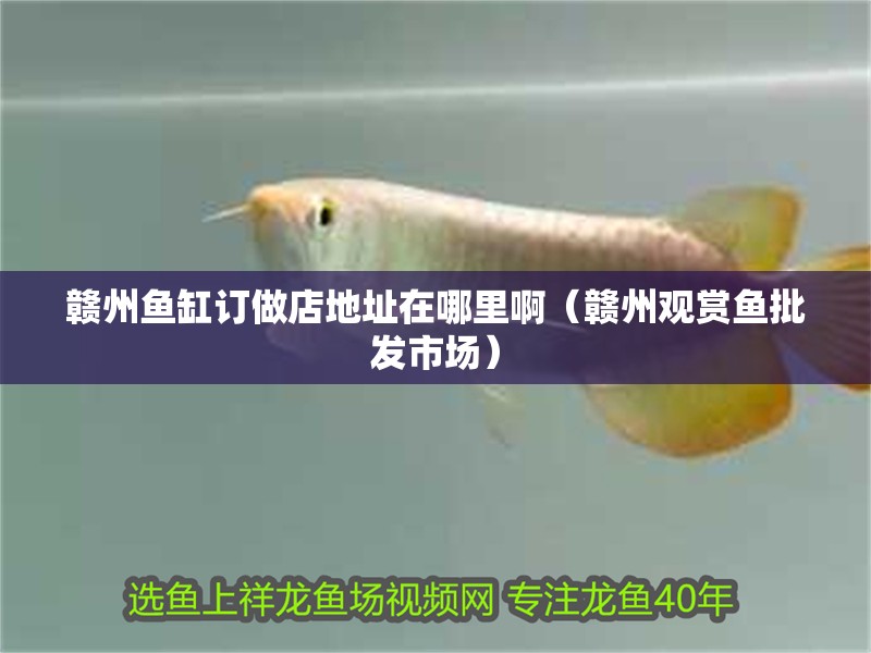 贛州魚缸訂做店地址在哪里啊(贛州觀賞魚批發(fā)市場) 全國水族館企業(yè)名錄 第1張 贛州魚缸訂做店地址在哪里啊(贛州觀賞魚批發(fā)市場) 贛州魚缸訂做店地址在哪里啊(贛州觀賞魚批發(fā)市場) 全國水族館企業(yè)名錄 第1張