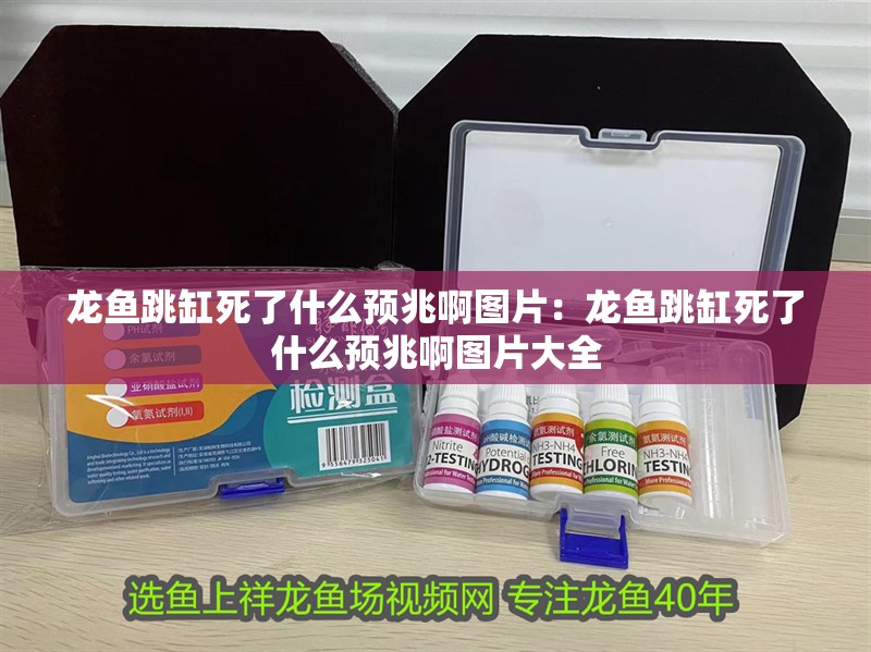 龍魚跳缸死了什么預兆啊圖片:龍魚跳缸死了什么預兆啊圖片大全 水族問答 龍魚跳缸死了什么預兆啊圖片:龍魚跳缸死了什么預兆啊圖片大全 龍魚跳缸死了什么預兆啊圖片:龍魚跳缸死了什么預兆啊圖片大全 水族問答
