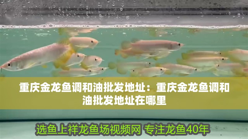 博特水泵5000流量范圍(博特水泵12000怎么計算流量)