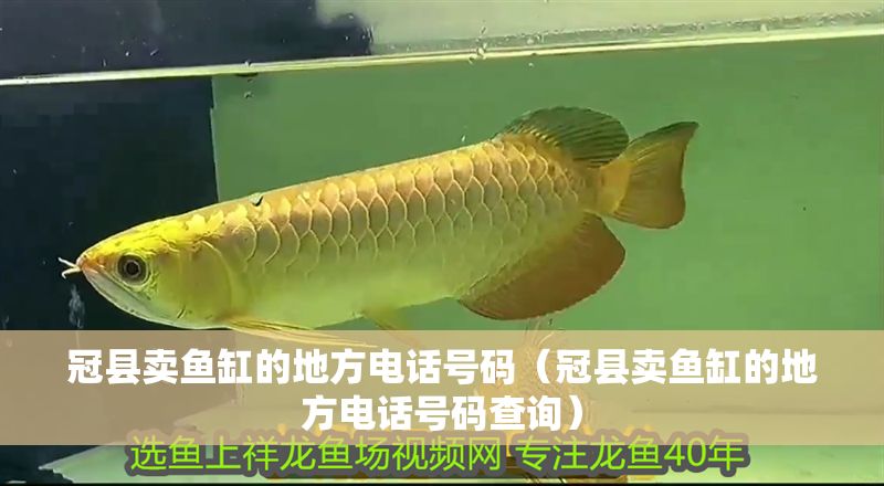 冠縣賣魚缸的地方電話號碼（冠縣賣魚缸的地方電話號碼查詢）